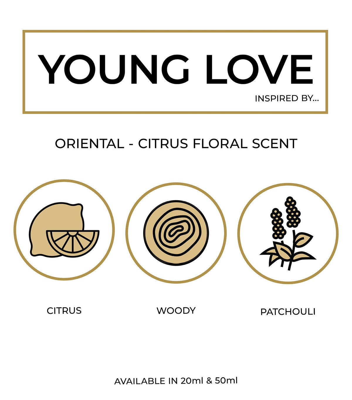 Young Love - Perfumeboxsa
