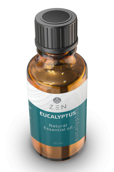 Zen Oil - Eucalyptus - Perfumeboxsa